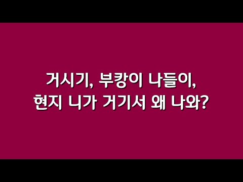 거시기, 부캉이 나들이, <strong>현지</strong> 니가 거기서 왜 나와?