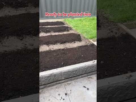 Garden maintenance #garden #maintenance