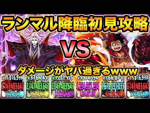 【壊滅級】ランマル降臨をルフィで初見攻略！ダメージがやば過ぎてびっくり！！！ガンホーコラボ【スー☆パズドラ】