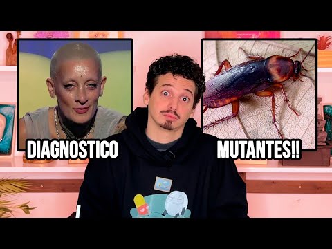 CUCARACHAS MUTANTES, EL DIAGNOSTICO DE FURIA, NOTICIAS Y MEMES - Pablo Agustín