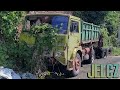 Porzucony Jelcz-SHL 3W317-821