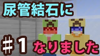 【マインクラフト】#1　尿管結石になりました　～激痛～　【脱出ワールド】