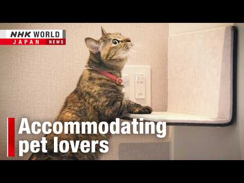 Japan developers bet on 'pets first' apartmentsーNHK WORLD-JAPAN NEWS