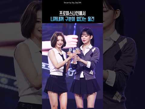 프로미스나인에서 니꺼내꺼 구분이 없다는 <strong>물건</strong>