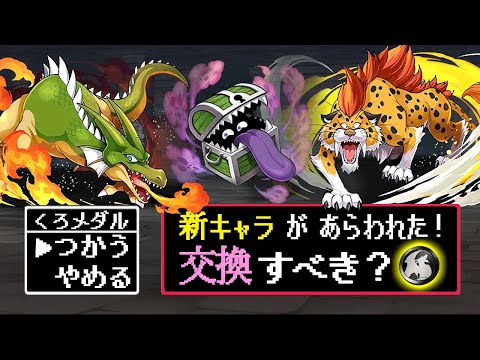 【見た方がいい】黒メダルキャラ5種は誰を優先的に交換すべき？微課金目線で徹底解説!!～ドラゴンクエスト ダイの大冒険コラボ～【パズドラ】
