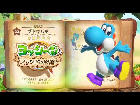 【ヨッシーとフカシギの図鑑 】1章 森の生き物 ブドウバチ 図鑑 スペシャルフラワーの場所 攻略【Switch2】