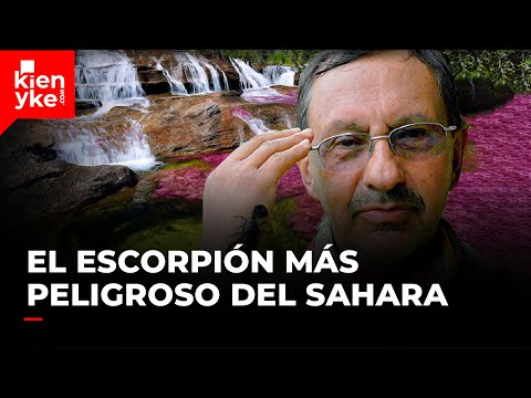 La experiencia de Andrés Hurtado con el escorpión más peligroso del mundo