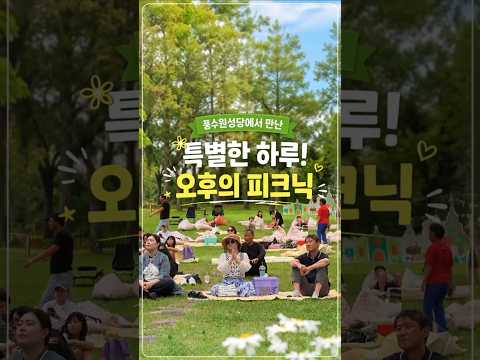 오후의 피크닉 행사