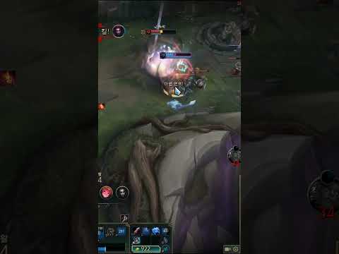 비에고 패션 디자이너 일라오이