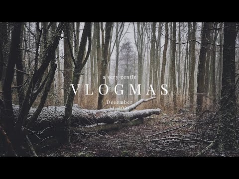 A very gentle vlogmas — December 13, 2021
