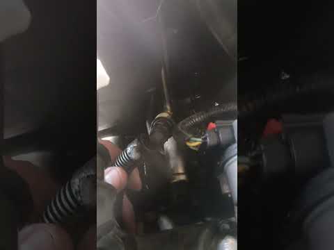 fuel line 