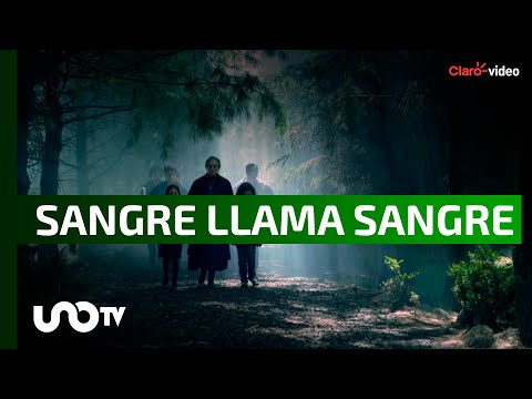 Coldplay ya tiene nuevo disco; tráiler de Sangre llama Sangre.