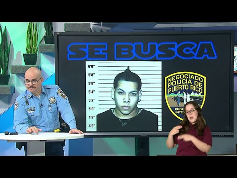 Los Más Buscados Puerto Rico: Policía une esfuerzos para capturar al peligroso asesino “El Gordo”