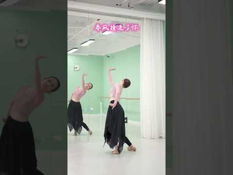 #零基础学舞蹈  同学们，《麦浪》镜面教学来啦～ #麦浪 #傣族舞 #dou来跳舞 抖音小助手