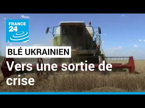 Céréales bloquées en Ukraine : la signature de l'accord entre Kiev et Moscou est imminente