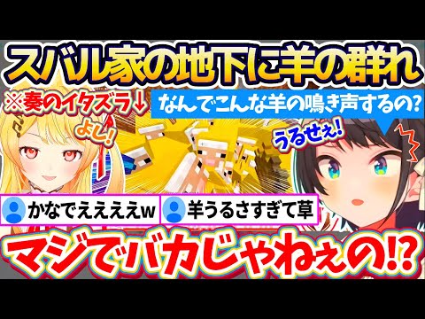 【新ホロ鯖】奏のイタズラを回収するため家に帰宅したところ『地下に大量の羊の群れ』を発見し、あまりの騒音にブチギレるスバルw【ホロライブ切り抜き/大空スバル/音乃瀬奏】