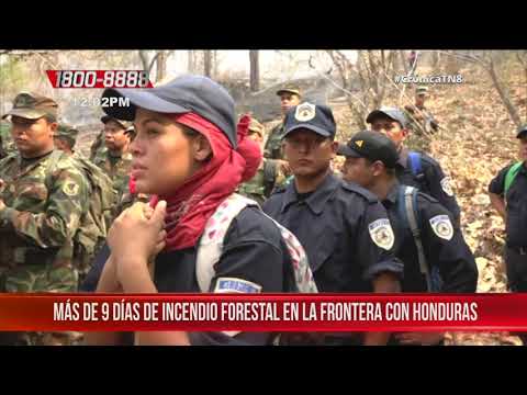 Nicaragua: Nueve días de incendio forestal en la frontera con Honduras