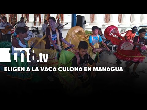 Realizan concurso de «la vaca chota» y «vaca culona» en honor a las fiestas patronales - Nicaragua