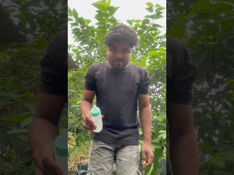 dog funny video 🥰 #funny #shorts