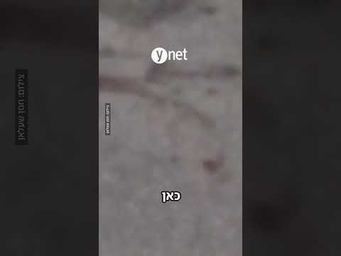 חשד לרצח ביפו: גבר נורה למוות, וכעבור דקות - פצוע קשה מירי ברחוב הסמוך