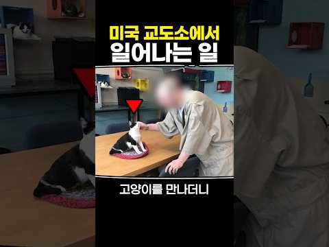 미국 교도소에서 일어나는 일