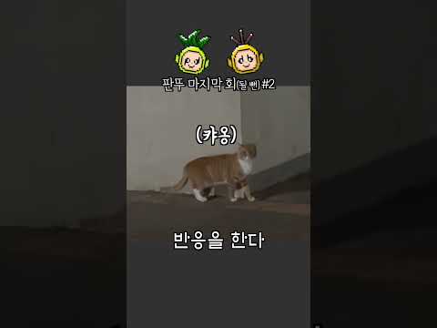 길냥이한테 시비 걸다가 괴털렸습니다 (ma-ah)