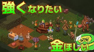 【Elin】魅力を上げて仲間をいっぱい引き連れたいね【Elona後継作】：part 009