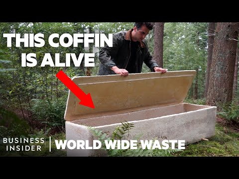 Mushroom Coffin Cost