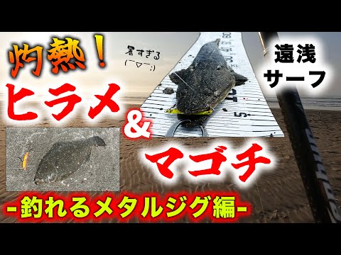 灼熱!遠浅サーフでヒラメ&マゴチ釣り! - 釣れるメタルジク編 -
