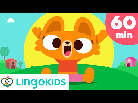 LINGOKIDS LISA BEST SONGS 😺🎶 Dance and Learn with LISA the Cat!