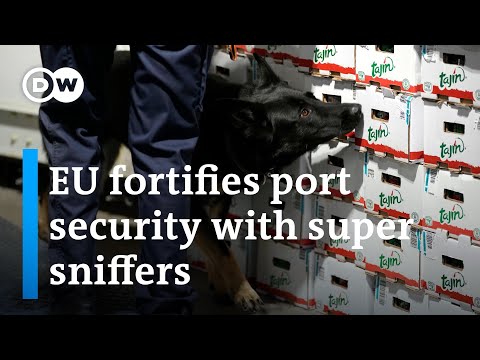 How the EU strengthens its border security to combat drug smuggling | DW News