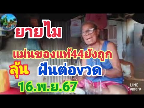 ยายไมแม่นของแท้44ยังถูกลุ้นฝัน