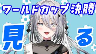 【 一緒に見よ～ 】ワールドカップ決勝戦だ！【 ソフィア・ヴァレンタイン/にじさんじ 】