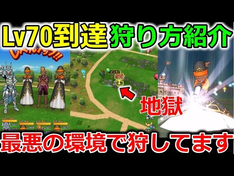 【ドラクエウォーク】Lv70到達！約3日でカンスト！最悪の環境で狩してる狩り方を紹介します。。引っ越したい。。