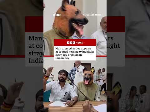 Köpek kostümü giymiş adam Hindistan konseyinde duruşmaya katıldı. #Hindistan #Köpekler #BBCHaber