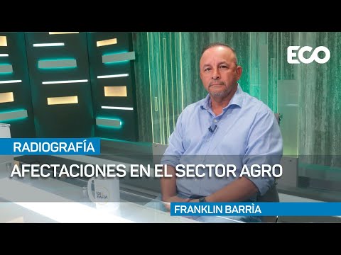 Franklin Barría: Estado adeuda $9.3 millones al sector agro de Panamá Este y Darién |#Radiografía