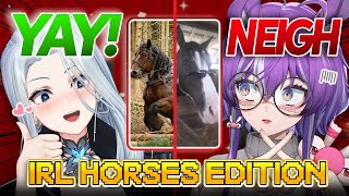 IF I were a HORSE would I DATE THIS HORSE?? w/ Michi