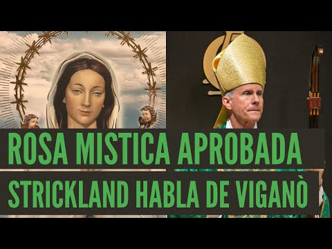 El Vaticano aprueba aparición de la Virgen María Rosa Mística y el obispo Strickland habla de Viganò