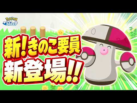 【ポケスリ】新キャラ”タマゲタケ”登場！新たなキノコ要員は果たして強いのか！？考察していこう！ゆるゆる雑談配信🐶初見さんもコメントも大歓迎🐶【ポケモンスリープ】