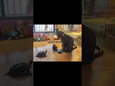 予想外の音だったwww