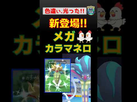 色違い！【メガカラマネロ！スーパーメガレイド】 #ポケモンgo #pokemongo #ポケモン #メガシンカ #カラマネロ #カイロス #gotour