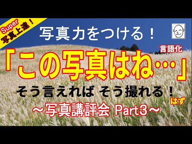 恒例となった写真講評会シリーズ第３弾！今回もフォトクラブの生徒3人に作品を一つ提出してもらいました！「花の写真」「風景写真」「人物スナップ」とバラエティーに富んだ内容を、みなそれぞれに何をどう講評するのか？そして写真家、鈴木サトル（月刊誌フォトコン2023年度審査員）の講評と見比べてどう違うのか？その差からさらなる上達意欲を高めてもらおうという企画です！　写真の見方、講評の仕方のヒントが満載！こうご期待！

今回もおなじみのフォトコンテストで通用するレタッチを手直しとして実演！ 提出作品とレタッチ後の作品を見比べながらのアドバイスも必見です！！

＜講評会＞
写真上達のために良く開催される「写真講評会」その多くはプロや上級者に写真を見てもらい技術的な事や表現方法などをアドバイスしてもらうものだが、時としてアマチュア仲間や写真教室の生徒同士でお互いの実力アップを目的に行われることもある。

~今回の見どころ~
良い所や気になるところ、！的確なアドバイスが言えるようになろう！
🎈白飛びした作品にはどうアドバイスする？
🎈一見良いような作品でも見落としはないか？
🎈カラー作品は色と光をきれいに仕上げる！
🎈カラーが良い？それともモノクロ？
🎈タイトルでももっと追い込める！

写真家、鈴木サトル（月刊誌フォトコン2023年度初級自由部審査員、EPSONエプサイトプレミアム講師出演、 キヤノンギャラリー銀座にて個展「フクザツ」開催）

【目次】
00:00 写真講評会第3弾！
01:03 ①白飛びしてしまった！
04:57 ①手直しします！
06:35 ②一見きれいな風景写真！
09:06 ②手直しします！
13:13 ③夜の人物スナップ！
15:33 ③手直しします！
18:47 ③手直しします！モノクロ！
20:27 比較してみましょう！
21:46 今度はアドバイスまで！

★鈴木サトルのWebサイト　
SATORU SUZUKI　http://ucsc-ui.com/

★写真集「フクザツ」（日本写真企画）
https://ucsc.base.shop/

★写真集「奈落」（日本写真企画）
https://ucsc.base.shop/

★GOODタイトルはこう付ける！[フォトコン別冊]（日本写真企画）
https://photo-con.net/SHOP/06-25.html

各SNSはこちらにまとめてあります！！
https://lit.link/satorusuzuki

#フォトコンテスト #風景写真 #レタッチ #写真教室 #lightroom #カメラ #サトルの動画  #鈴木サトル #フォトレッスン #写真プリント  #写真上達 #写真初心者 #写真家  #スナップ写真
