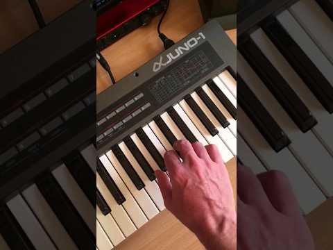 How I Made my track "I Won't Wanna Stop" #analogsynth #synthwave