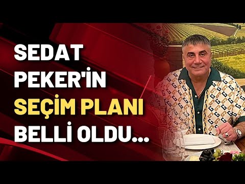 Sedat Peker'in seçim planı belli oldu