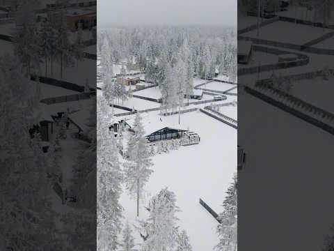 ЕЛИ ESTATE: подробный обзор. Делимся своими впечатлениями от среды и архитектуры домов.