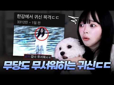 무당도 무서워하는 소름돋는 <strong>귀신</strong> 모음ㄷㄷ