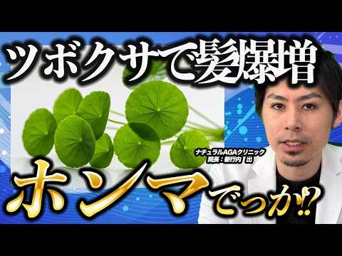 【ホンマでっか!?】TVで話題の眞相解明!髮引っ張ると太くなる?ツボクサで髮生える?AGA醫師が解説!