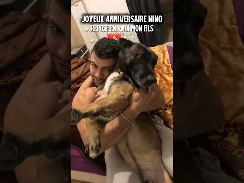 Ça fait presque 3 mois que tu es parti… joyeux anniversaire Nino ❤️🕊️🥺 #ninolemalou #anniversaire