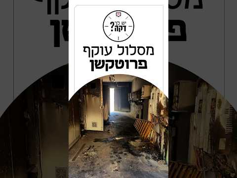 משלמים פרוטקשן? תתלוננו במשטרה והמדינה (אולי) תעזור, שקד גרין עם היוזמה החדשה של רשות המסים