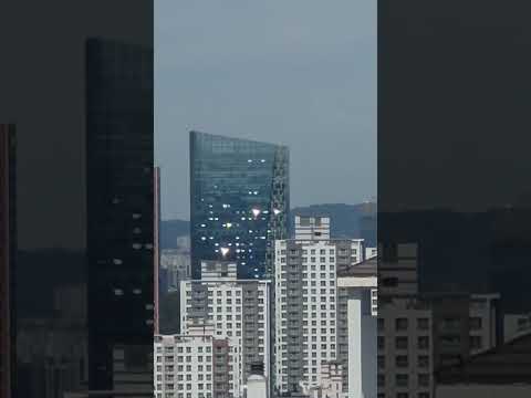 <strong>방금</strong> 전 내가 직접 목격한 것